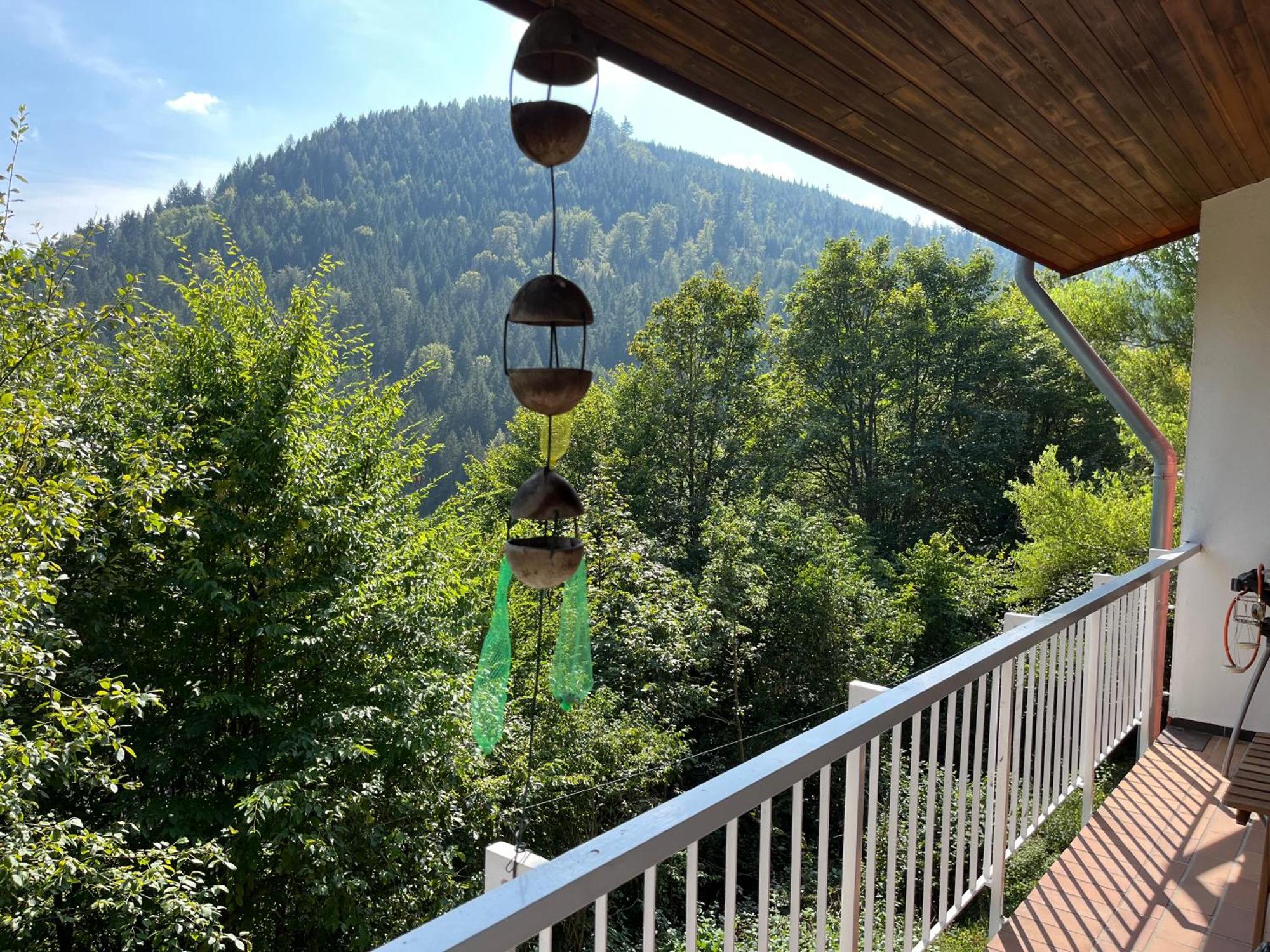 Waldhaus Max Apartment Bad Wildbad Ngoại thất bức ảnh